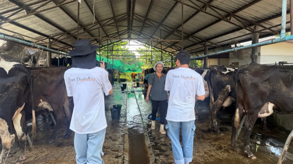 ทีม Tina Digitalbiz ถ่ายทำถึงหน้างานจริงในฟาร์มโคนม