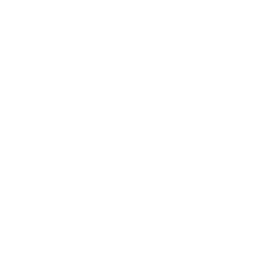 Tina Digitalbiz